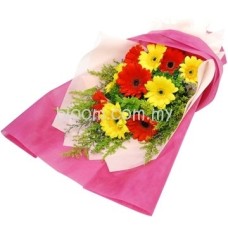 Gerbera Hand Bouquet 02 (10 Stalks Mix Colour Gerbera)